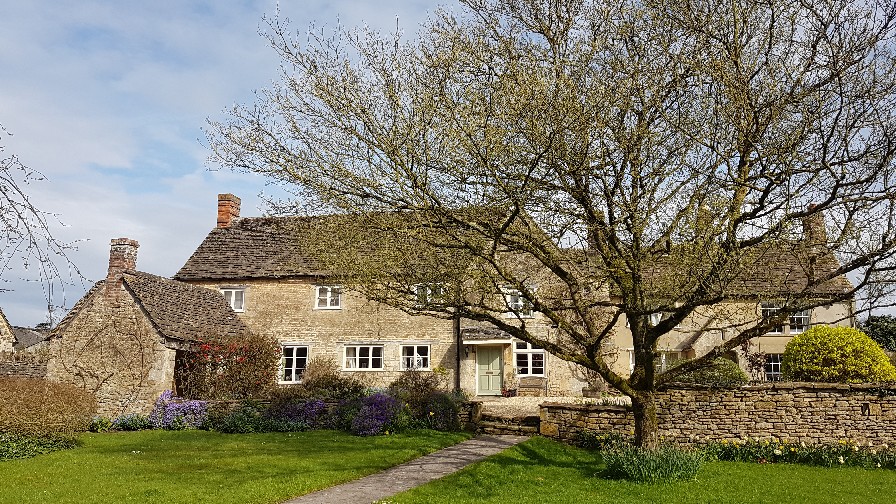 Home Buyer Tree Surveys