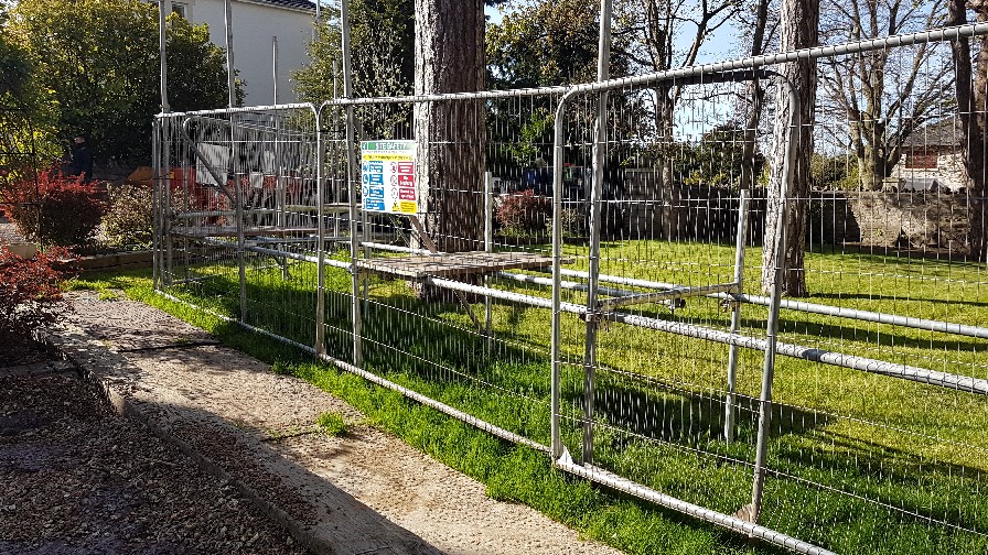 Planning and Development